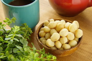 素焼きマカデミアナッツ【食塩/油不使用】